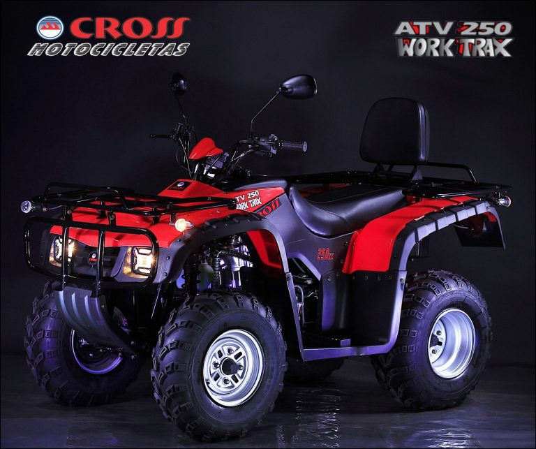 atv250 work trax
